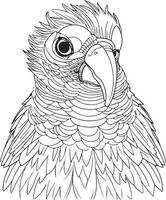 loro pájaro ilustración, linda loro colorante página para niños y adulto, loro mascota logo, loro pájaro vector diseño