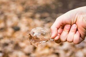 Soap bubble on a dry oak leaf in a child's hand in the park. The concept of fragility and instability. Children's leisure photo