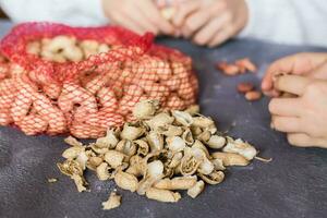Peanut husks and a mesh bag with brown nuts on the table. Baby hands peeling nuts in the background. Lifestyle photo