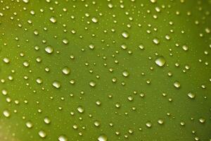 Water drop background. Dancing Droplets. A Serenade of Liquid Elegance. photo