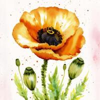 Summer concept. Beautiful watercolor Poppies. A radiant Poppies. Natures Beauty. photo