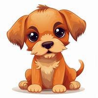 Cute puppy dog sit in white isolated background, photo