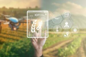 Smart Farming using IOT Internet Of Thinking technology and analysis with AI artificak intelligence help to improvement, research and development productivity of farming. photo