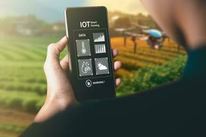 Smart Farming using IOT Internet Of Thinking technology and analysis with AI artificak intelligence help to improvement, research and development productivity of farming. photo