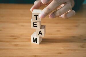 Businessman hold wooden block with  Team text. teamwork and organization concept photo