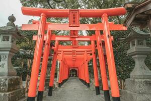 Yaganawa,Fukuoka,Kyushu,Japan - October 26, 2018 Torii gate at Mihashira Shrine, shinto shrine photo