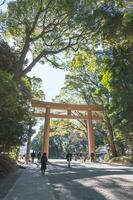 meiji jingu santuario torii portón en tokio Japón. foto