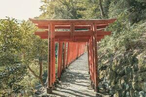 saga, kyushu, japón - octubre 25, 2018 yutoku inari santuario, Kashima ciudad, famoso inari santuarios, Japón parte superior Tres santuarios foto