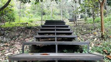 garden stair in the hill photo