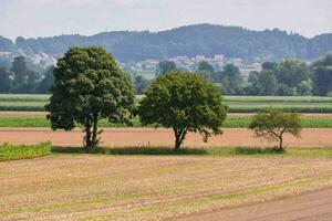 Scenic rural view photo