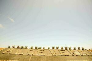 Aloe Vera plantation photo