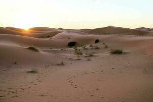 Scenic desert view photo