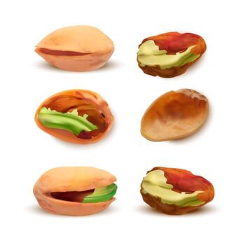 Realistic Detailed 3d Different Pistachios Set Nutshell and Kernel. Vector