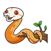 Cute albino sunfire tiger het genetic stripe reticulated python on tree branch vector