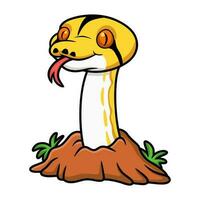 Cute albino tiger reticulated python cartoon out from hole vector