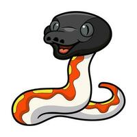 Cute red blood python cartoon vector