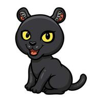 Cute little black panther cartoon vector