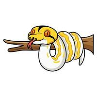 Cute albino tiger reticulated python cartoon on tree branch vector