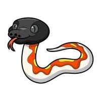 Cute red blood python cartoon vector