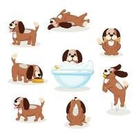 Various poses of a cute domestic dog. Set of a cute dog. vector