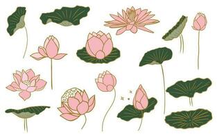 pink lotus object desing for postcard vector