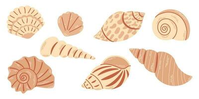 Set of different sea shells in monochrome beige colors isolated on white background. Illustrations in modern flat style. vector