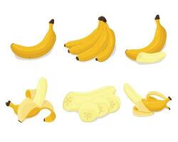 Set of banana isolated on white background leaves vector element. Set of whole, cut in half, sliced on pieces