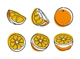 Mandarin fresh Orange fruits, leaves vector element. Set of whole, cut in half, sliced on pieces Orange Juice