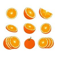 Mandarin fresh Orange fruits, leaves vector element. Set of whole, cut in half, sliced on pieces Orange Juice