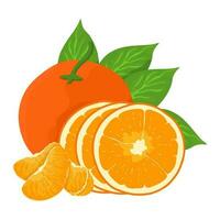 mandarín Fresco naranja frutas, hojas vector elemento. conjunto de entero, cortar en medio, rebanado en piezas naranja jugo