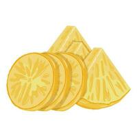 Set of pineapple isolated on white background leaves vector element. Set of whole, cut in half, sliced on pieces