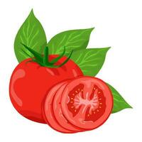 Set of tomatoes isolated on white background leaves vector element. Set of whole, cut in half, sliced on pieces