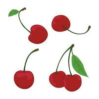 et vector illustration red cherry isolated in white background cherry icon set