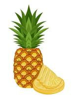 Set of pineapple isolated on white background leaves vector element. Set of whole, cut in half, sliced on pieces