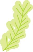 Flat style green fir leaf. vector
