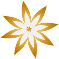 Illustration of flower in white and golden color. vector