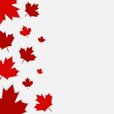 Canada day maple leafs background Royalty Free Vector Image