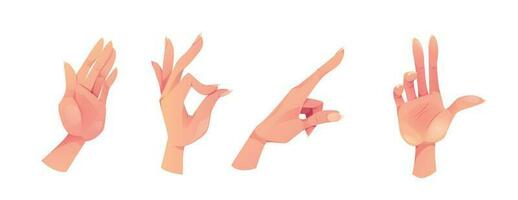 Vector hand gesture set, isolated palm arm female