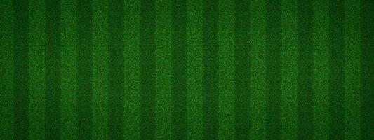 Football green grass stadium texture top view vector