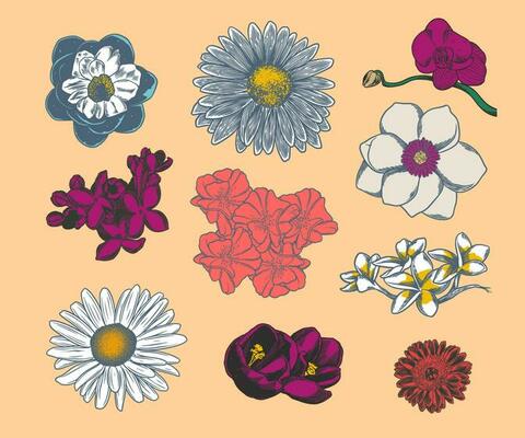 Set of Hand drawn flower botanical drawing on bright background.