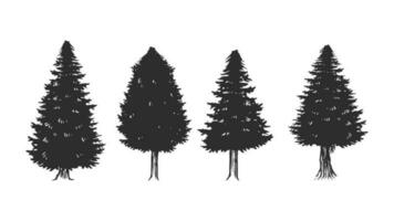 Tree hand drawing, pine trees sketch vintage silhouette vector illustration, isolated objects.