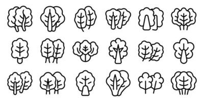 Chard icons set outline vector. Mangold agriculture vector