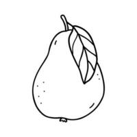 Pear with leaf isolated on white background. Vector hand-drawn illustration in outline style. Perfect for cards, decorations, logo, menu, recipes, various designs.