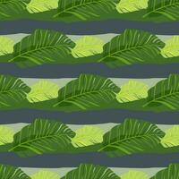 Abstract exotic plant seamless pattern. Botanical leaves wallpaper. Tropical pattern backdrop with palm leaf and floral motifs. vector