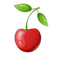 Cartoon style cherry isolated on white background. vector