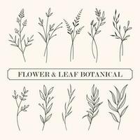 flower and leaf botanical line art and doodle illustration. vector