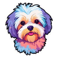 Colorful Maltese Dog, Maltese Portrait, Dog Sticker Clip art, Dog Lover design, . png