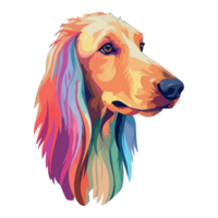 kleurrijk afghaan hond hond, afghaan hond portret, hond sticker clip art, hond minnaar ontwerp, ai gegenereerd. png