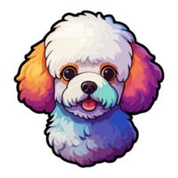 Colorful Bichon Frise Dog, Bichon Frise Portrait, Dog Sticker Clip art, Dog Lover design, . png