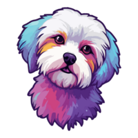 Colorful Maltese Dog, Maltese Portrait, Dog Sticker Clip art, Dog Lover design, . png
